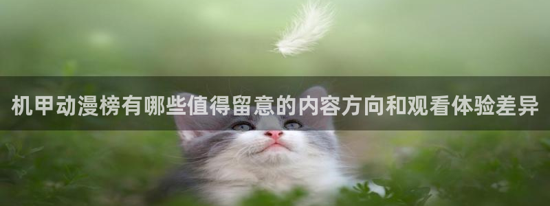 age动漫下载app:机甲动漫榜有哪些值得留意的内容方向和观看体验差异配图