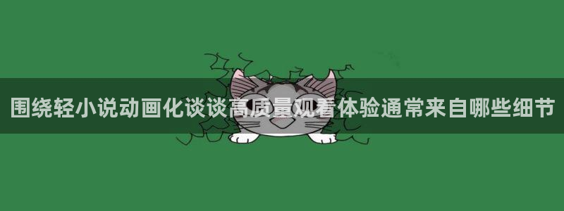 age下载动漫ios:围绕轻小说动画化谈谈高质量观看体验通常来自哪些细节配图
