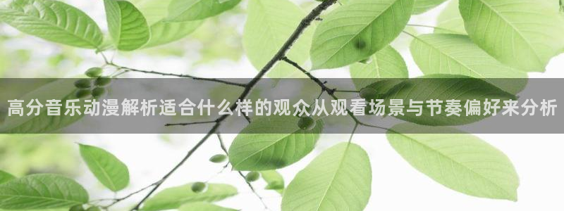 动画动漫age下载:高分音乐动漫解析适合什么样的观众从观看场景与节奏偏好来分析配图
