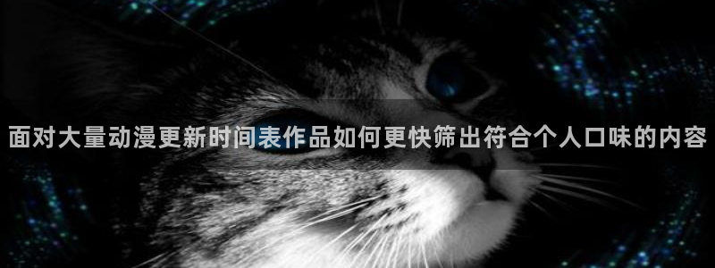 age动漫官方正版网站下载:面对大量动漫更新时间表作品如何更快筛出符合个人口味的内容配图