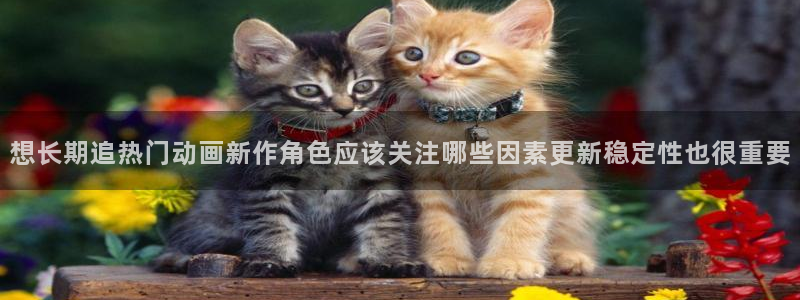 动漫AGE下载苹果:想长期追热门动画新作角色应该关注哪些因素更新稳定性也很重要配图