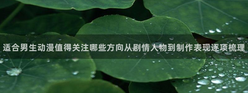 age动漫新版下载:适合男生动漫值得关注哪些方向从剧情人物到制作表现逐项梳理配图