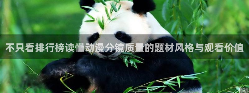 怎么下载age动漫:不只看排行榜读懂动漫分镜质量的题材风格与观看价值配图