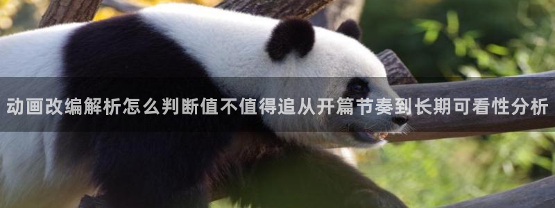 age动漫下载:动画改编解析怎么判断值不值得追从开篇节奏到长期可看性分析配图