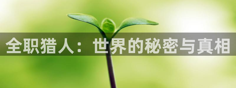 动漫AGE下载苹果：全职猎人：世界的秘密与真相配图